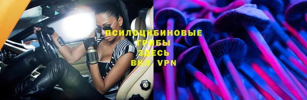 apvp Балахна