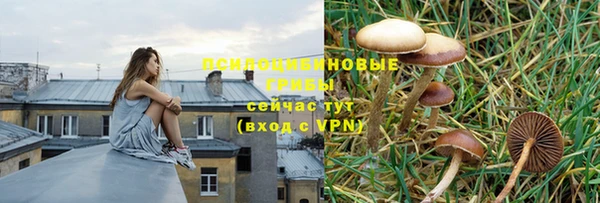 марки lsd Баксан
