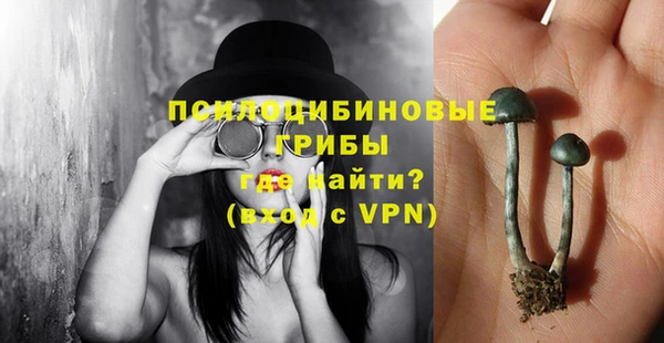 apvp Балахна