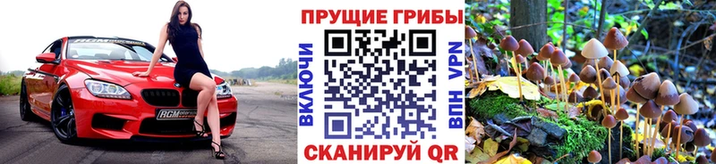 хочу   Черемхово  Псилоцибиновые грибы ЛСД 